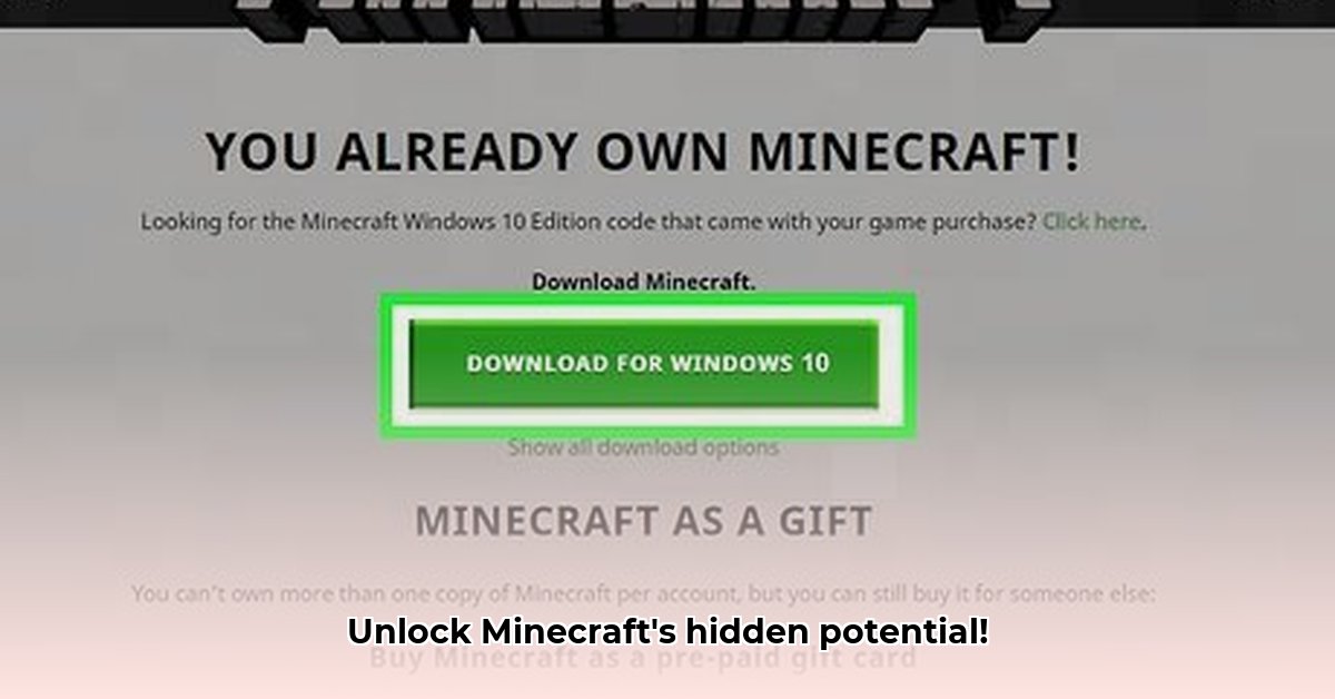 minecraft-download-options